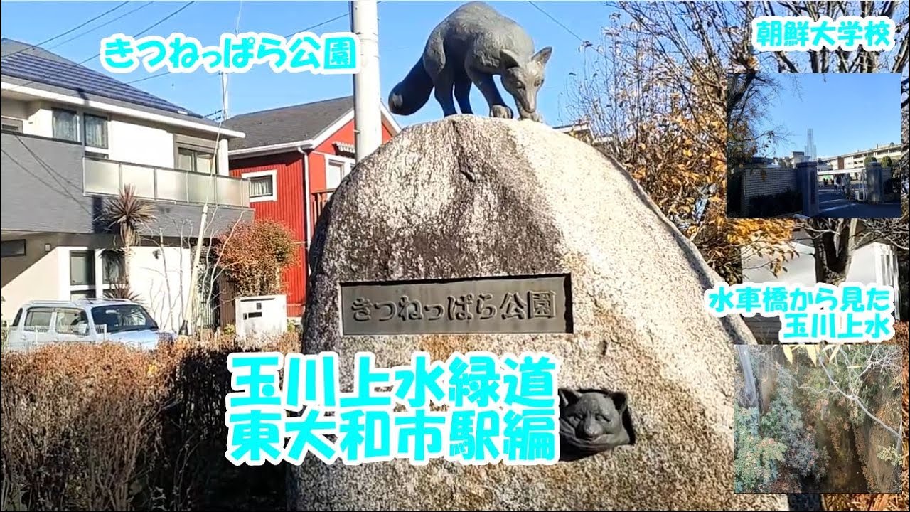 【玉川上水緑道　東大和市駅編2】　玉川上水緑道散策動画第5弾　その2　今回は、きつねっぱら公園から鷹の台駅近くの水車橋まで歩いています