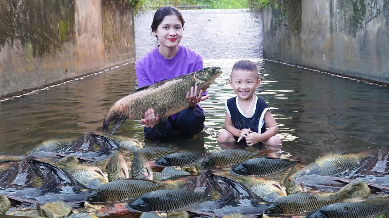 A Day of a Single Mom Catching Stream Fish to Support Her Child - Vi Thi Ha