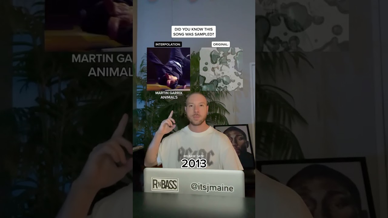 Did You Know Martin Garrix &ldquo;Animals&rdquo; Was Sampled From Busta Rhymes? #shorts #martingarrix #samples