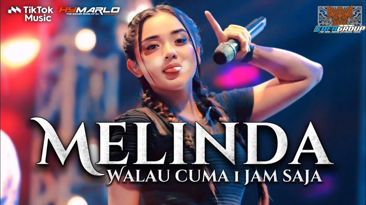 Dj walau cuma 1jam saja aw aw party karnaval 2026