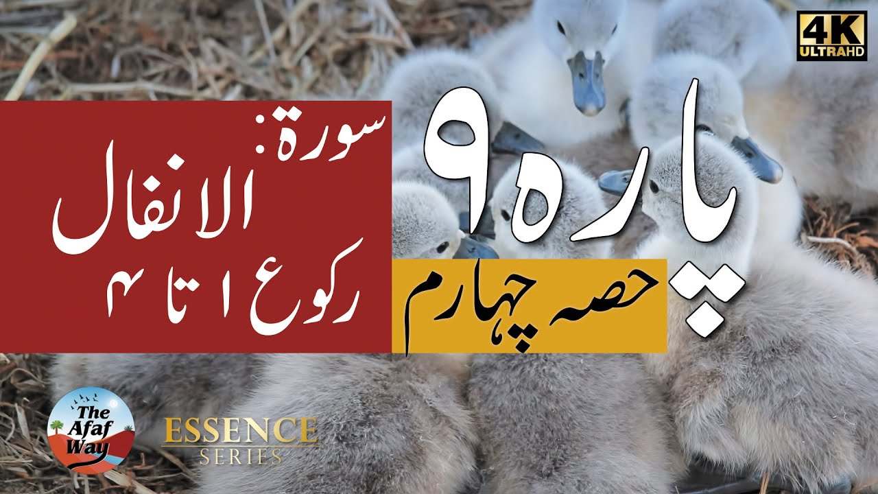 Para 9 : 4th Quarter - Urdu - Surah Al-Anfal