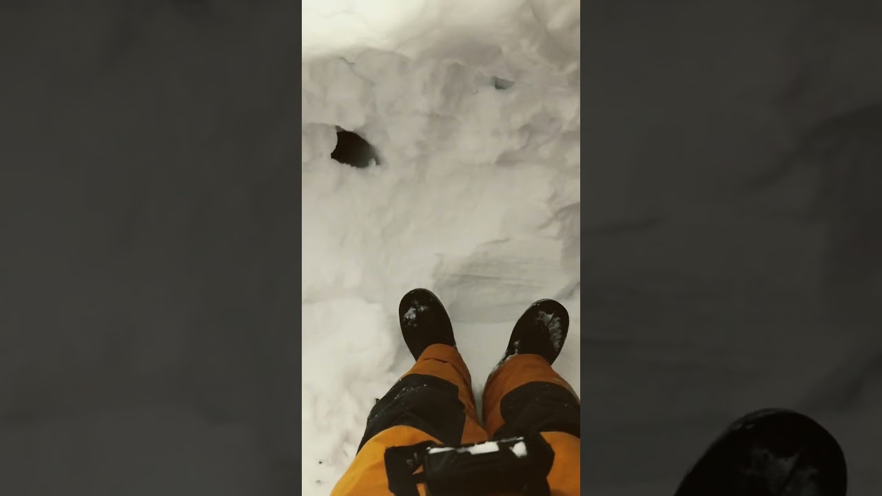 Min sn&ouml; koja 👍 byggde den under en dag👍