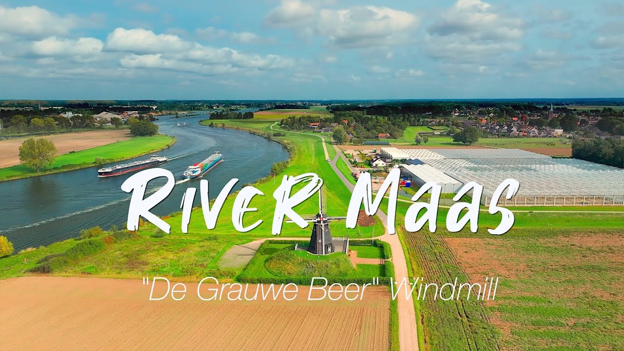 Maas River & Windmill 