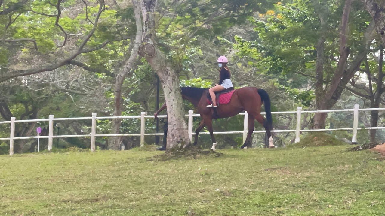 Horse Riding in Pasir Ris Singapore / Gallop Stable Singapore / Nparks Singapore / RheleeStories