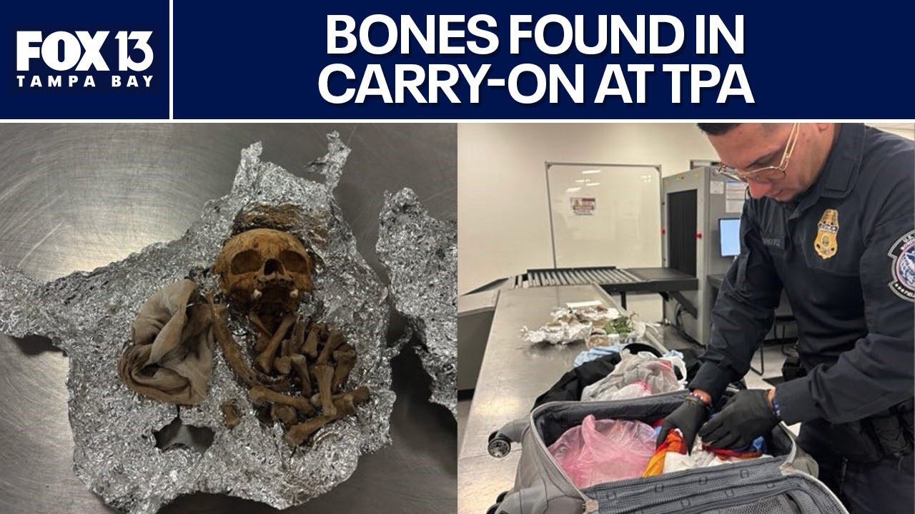Bones found in duffel bag at Tampa International Airport