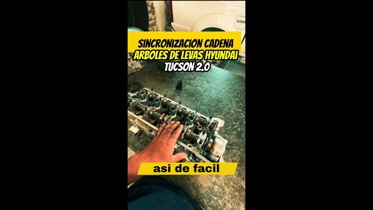 sincronización de tiempo en árbol de levas HYUNDAI TUCSON  2.0 año 2006 gasolina