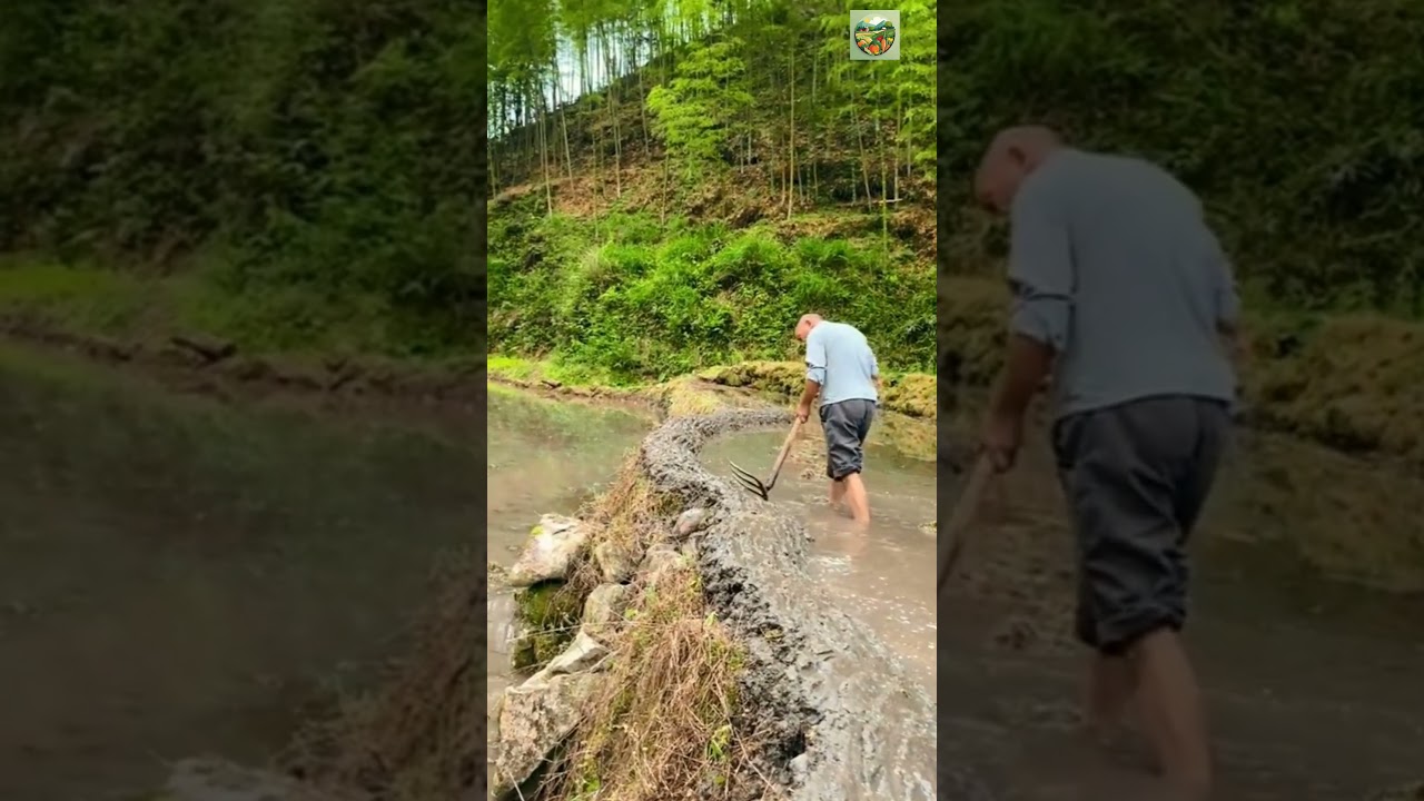 chinese village life #reels #shorts #satisfying #farming  #chinesevideo #working #villagelife