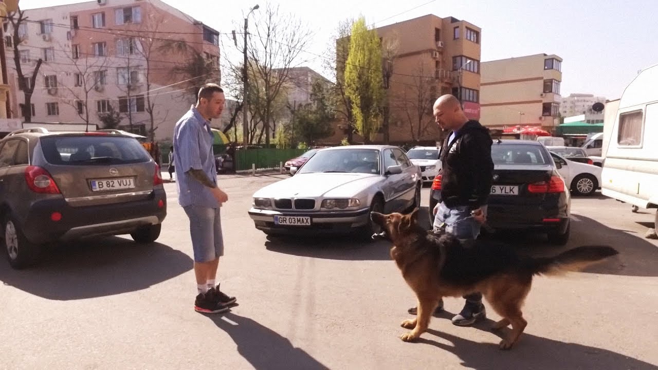 La Familia Vlog - Episodul 4 | Iubiti si cainii politisti
