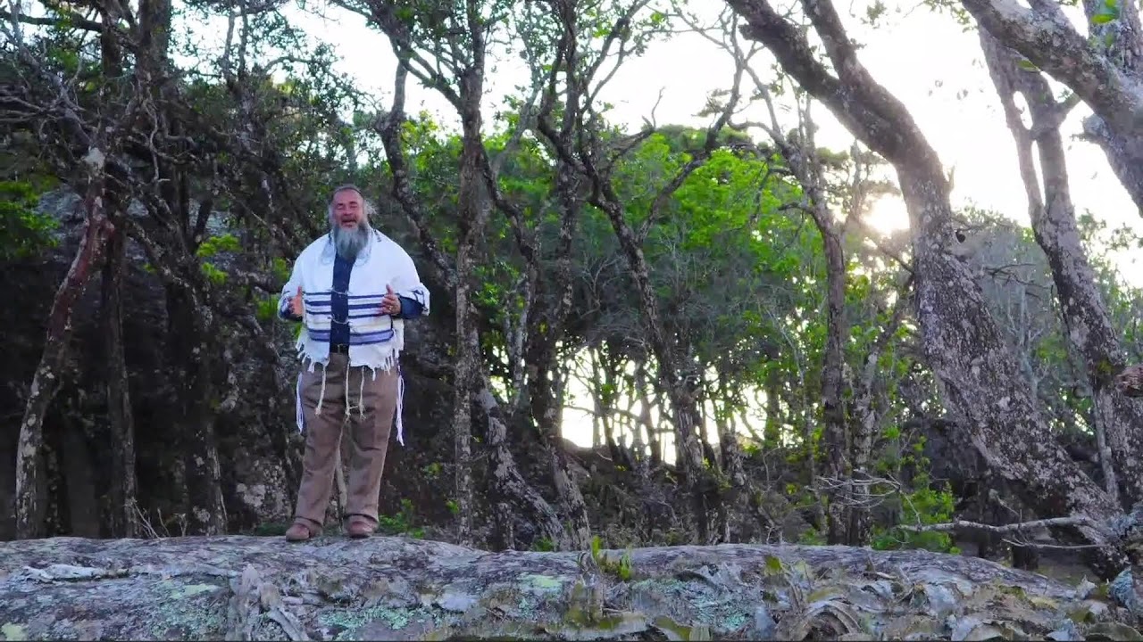Beit Ya'akov Tv