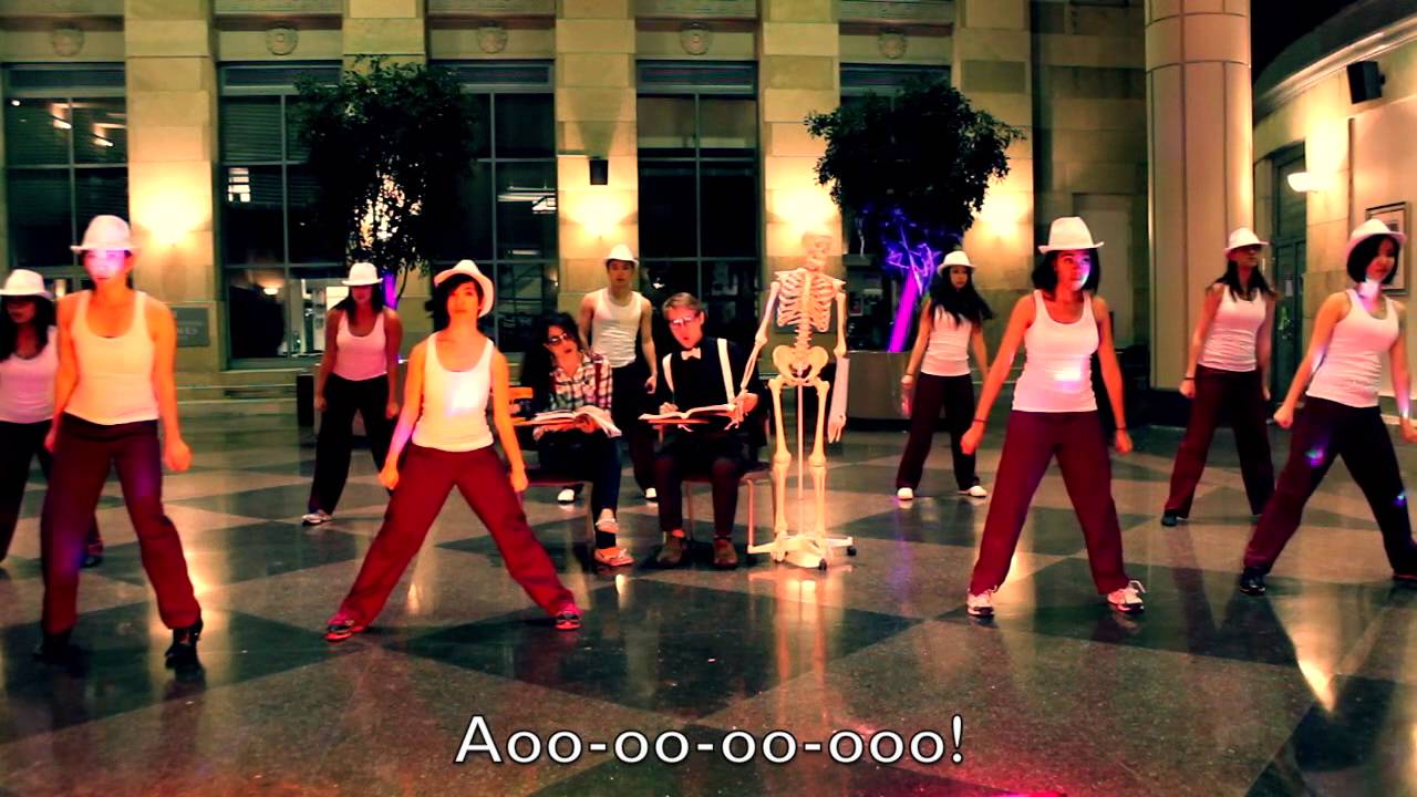 What Does the Spleen Do? ft. Harvard Medical School