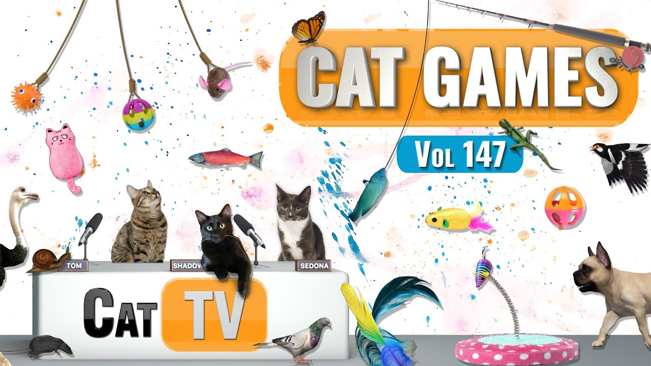 CAT Games | Ultimate Cat TV Compilation Vol 147 | 8 ЧАСОВ 🐝🐞🦋🦎🦜🐜🐭🧵