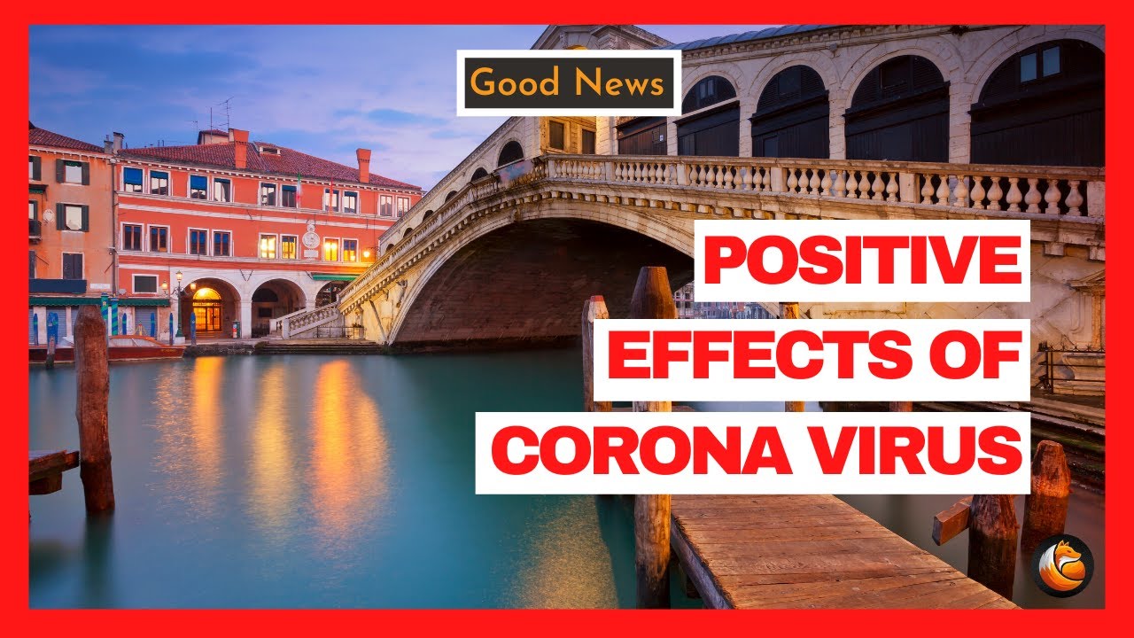 What are the positive effects of Coronavirus (Covid -19) on our environment? | Curious Fox |