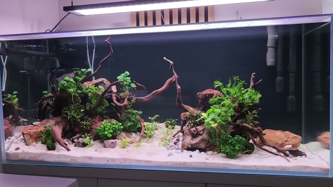 Akwarium 300l. Krótki opis co i jak.