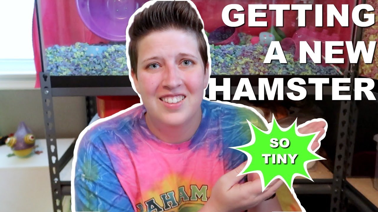 GETTING A NEW HAMSTER (and setting up his cage)