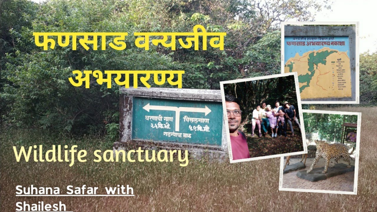 #vlog Phansad Wildlife Sanctuary | फणसाड वन्यजीव अभयारण्य | Maharashtra Tourism#viral