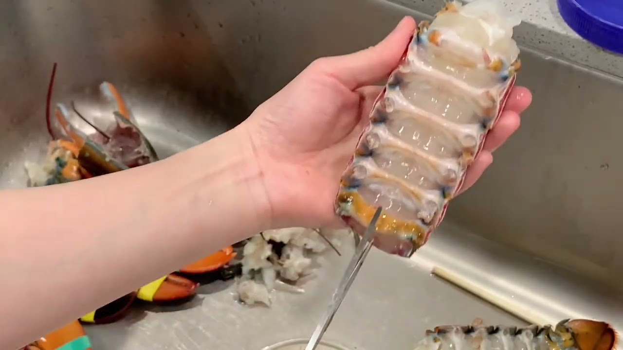 龙虾处理干净 才能吃的放心How To Clean and Prepare a Live Lobster
