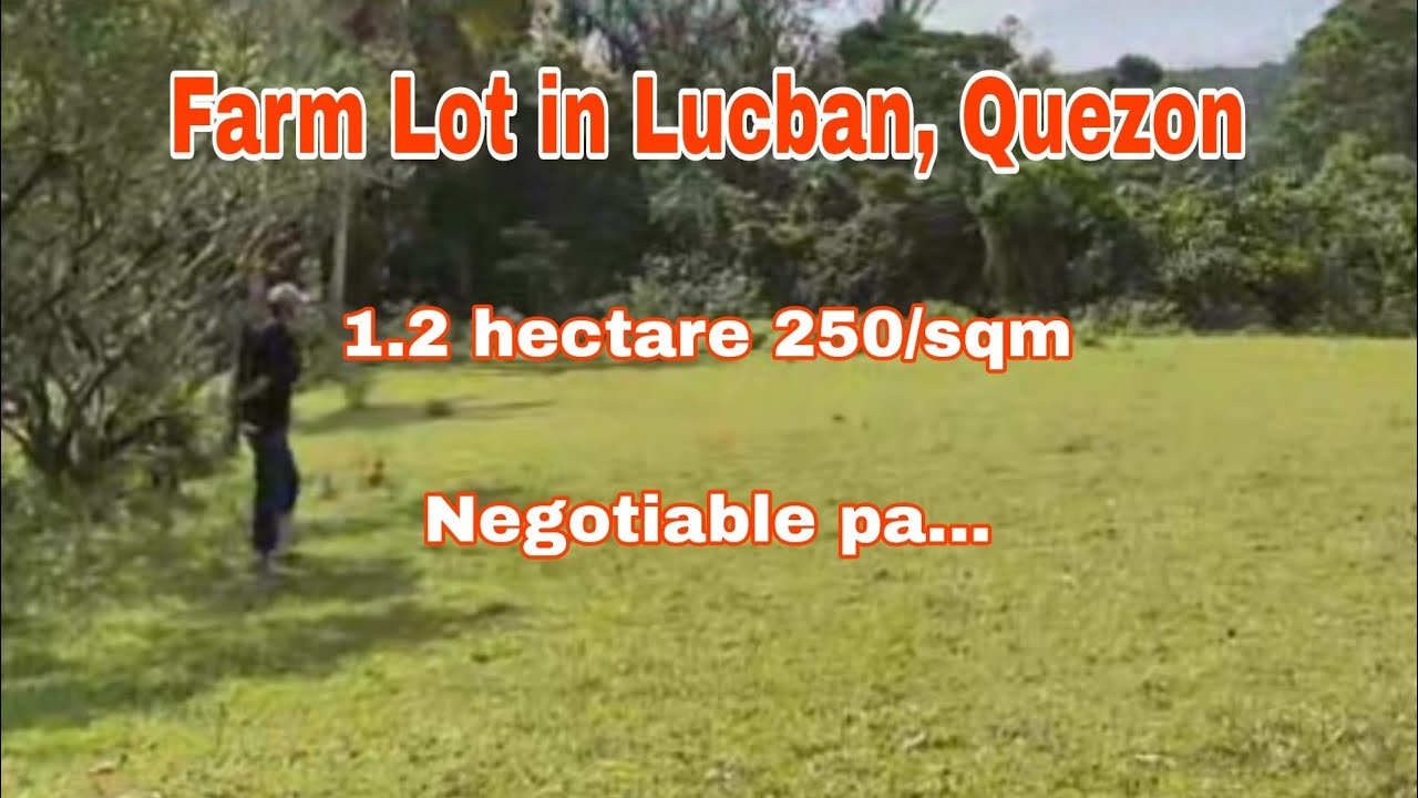 (P# 587) 1.2 hectares Farm Lot  @ 250/sqm negotiable in Lucban, Laguna for sale