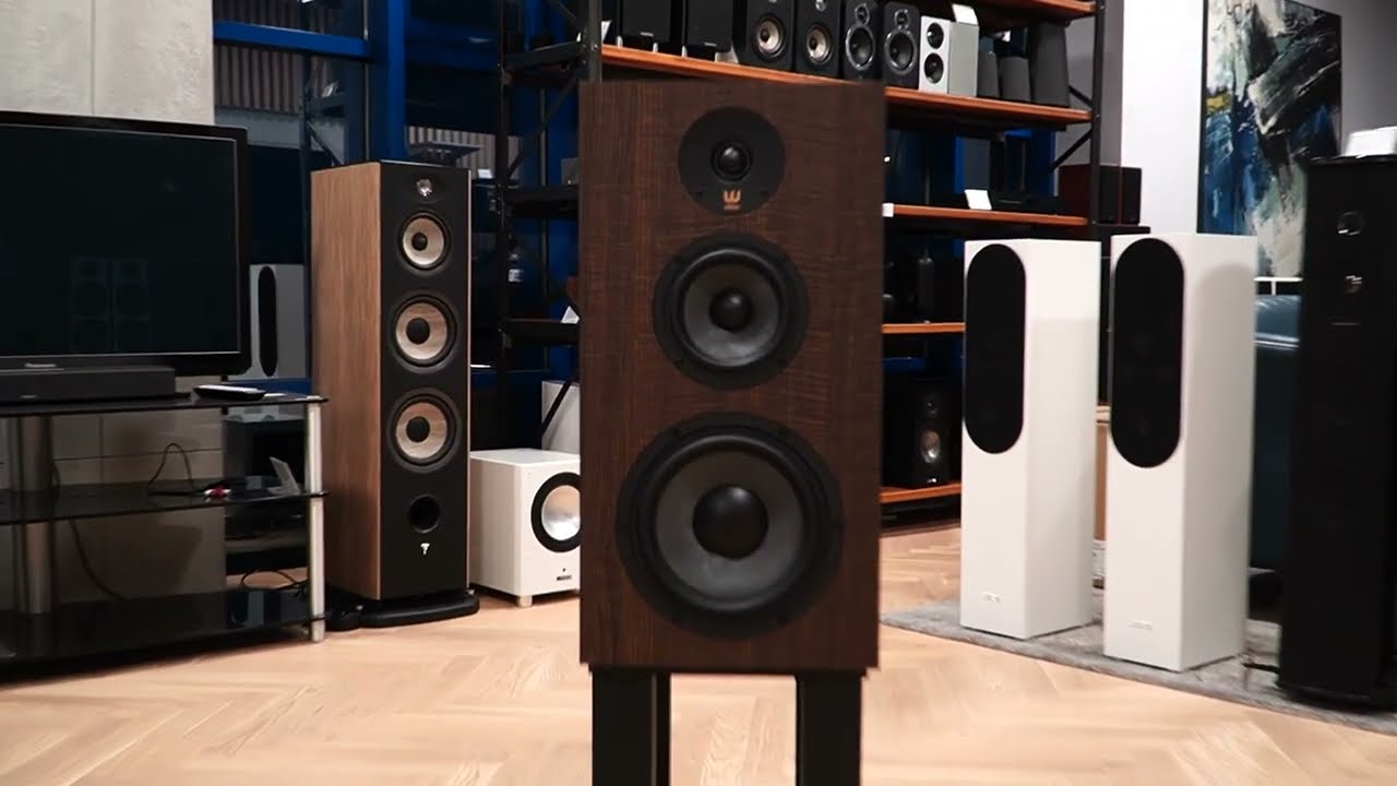 WIlson Classic - klasyczna forma w nowoczesnym wydaniu