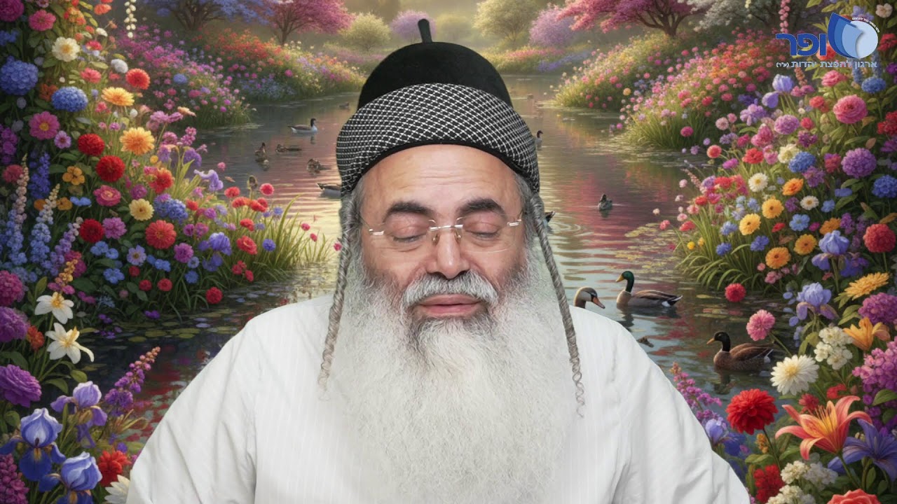 פרפראות וחדושים לפרשת יתרו תשפו ו'