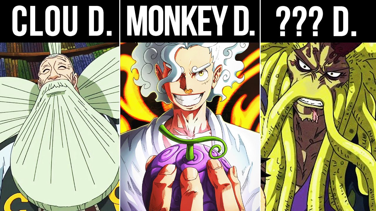 ALLE 16 D. CLAN MITGLIEDER IN ONE PIECE ERKLÄRT!! 🔥🔥🔥