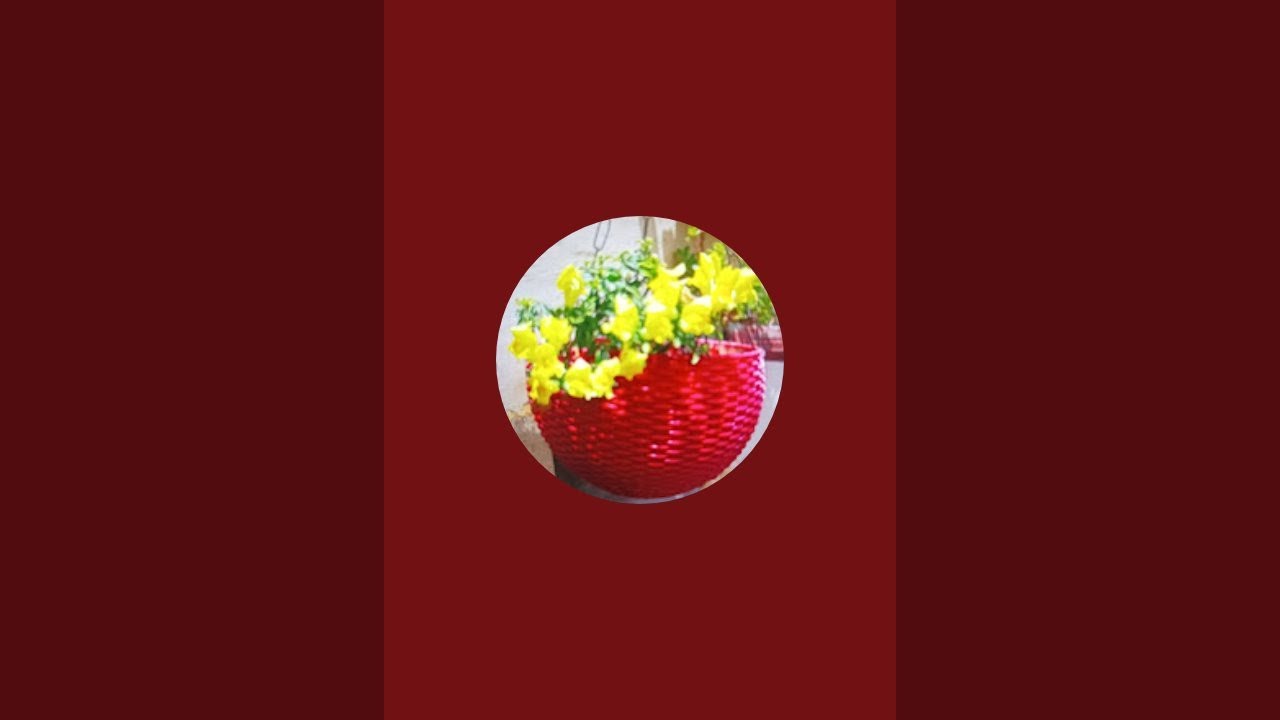 varsha tomar gardening is live!
