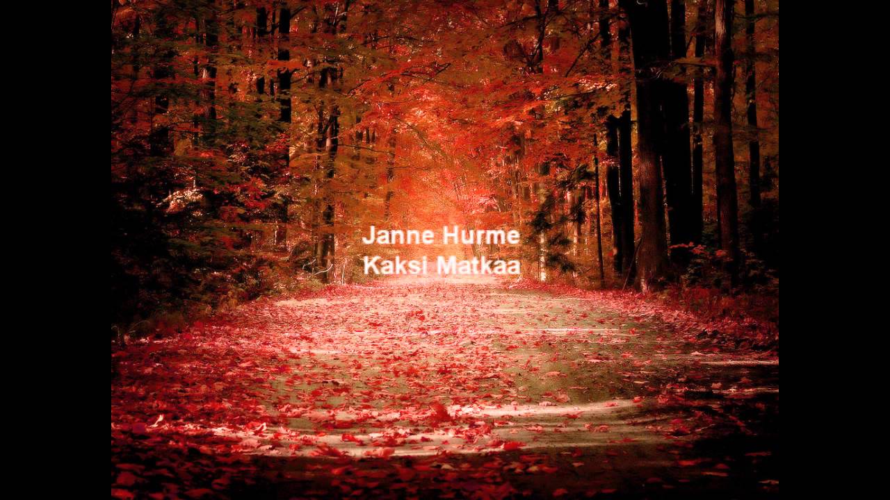 Janne Hurme - Kaksi matkaa ( 2016 Mix)