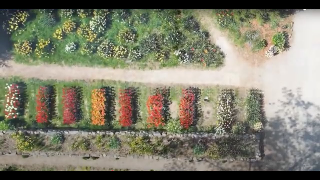 Colorblends: We Do the Homework, You Get the Magic