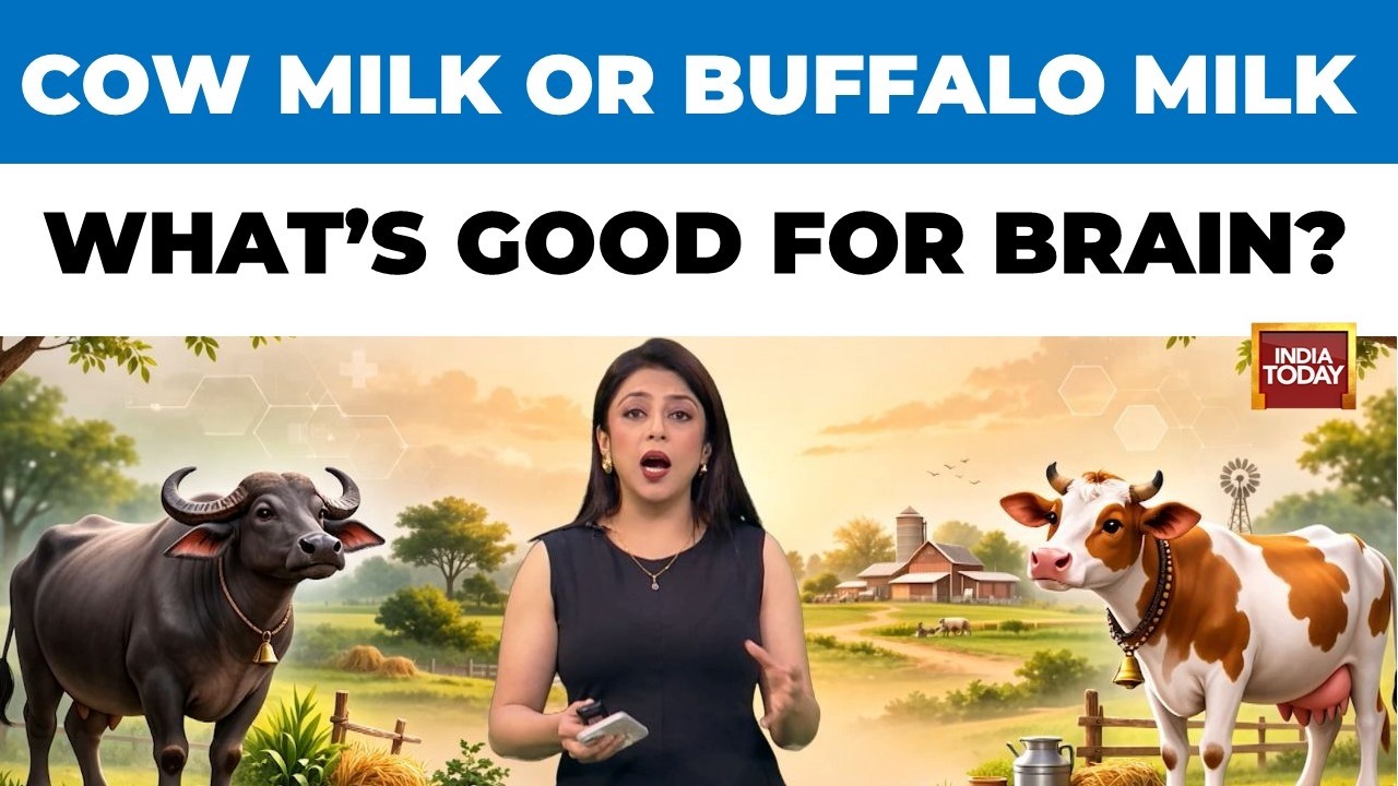 Rajasthan Minister Claims Indigenous Cow Milk Boosts Intelligence, Experts Weigh in | Health 360