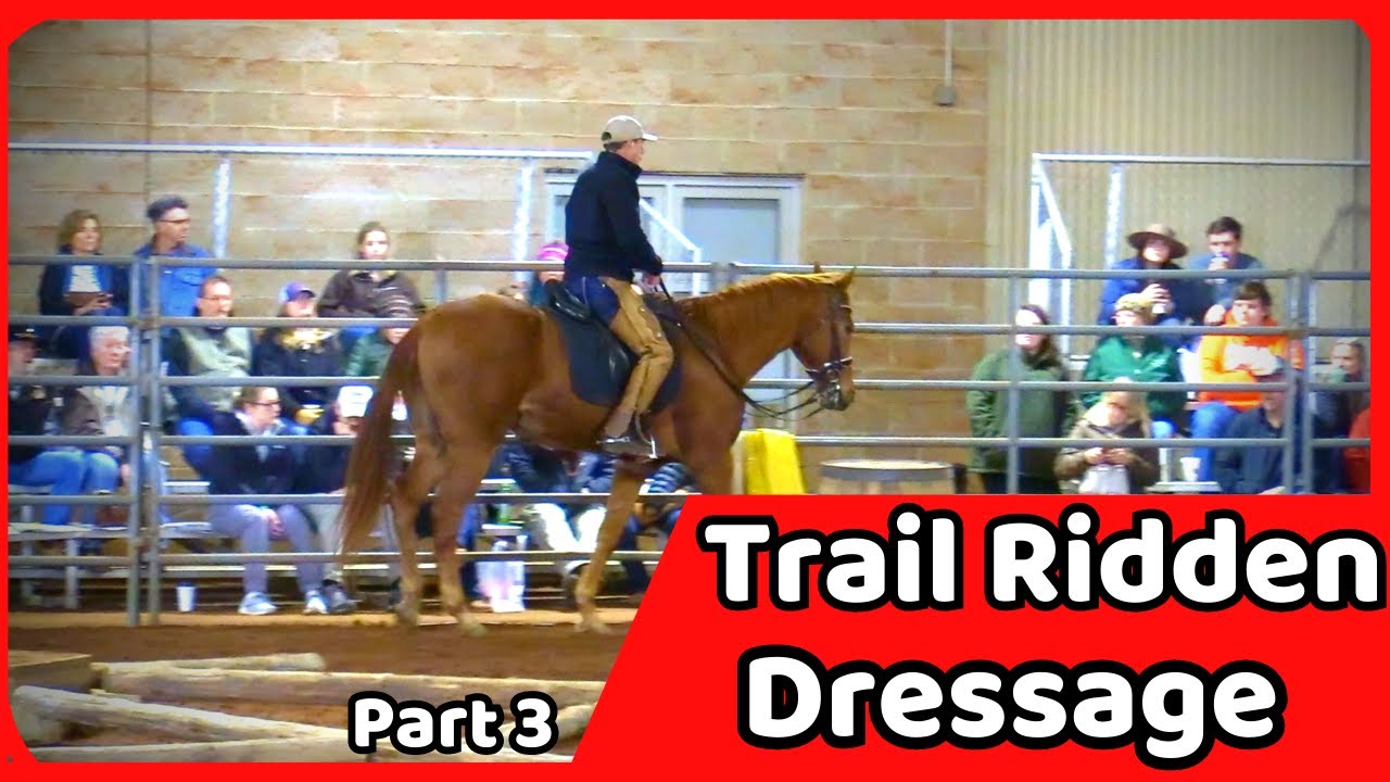 Riding Down The Road/Trail... You Need To Understand This!!!