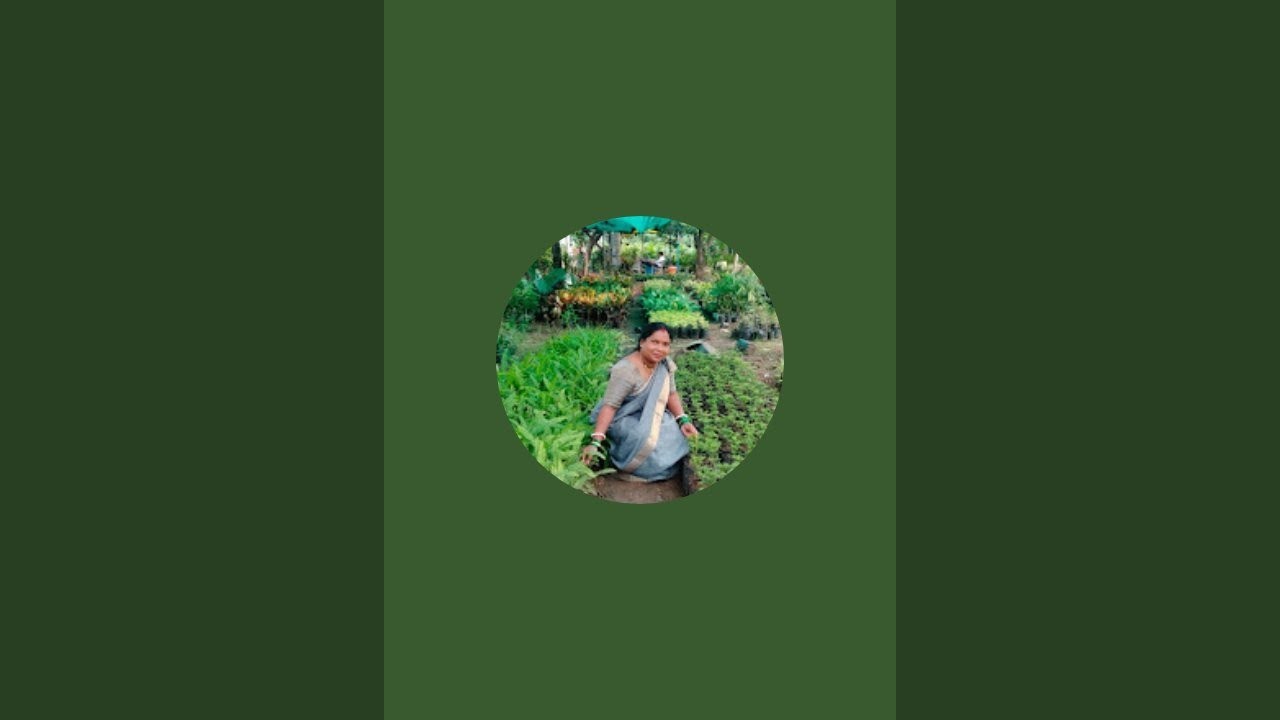 सुनीता का धमाका is live