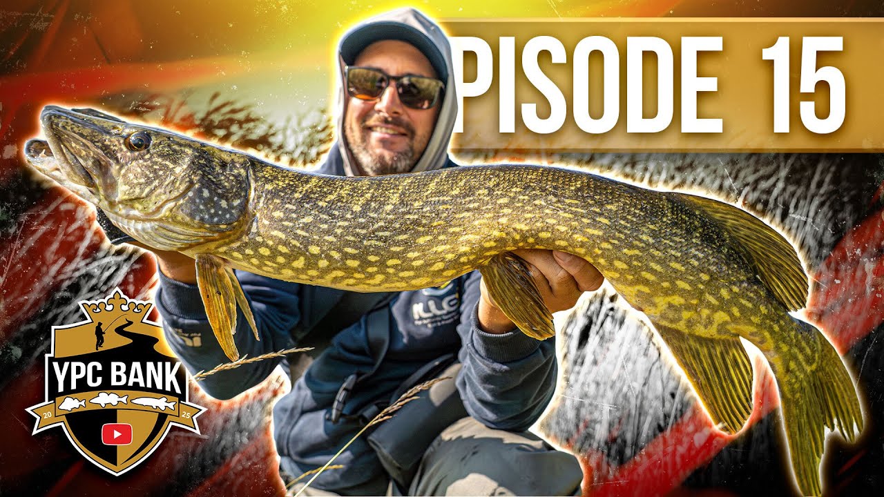 FATALER Fehltritt - Droht das VERLETZUNGSAUS?! | YPC Bank 2025 Episode 15