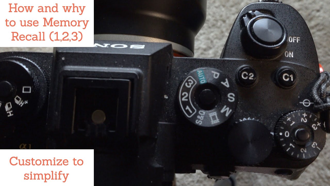 Memory recall | Sony Alpha | Simplify your wildlife and landscape photography workflow