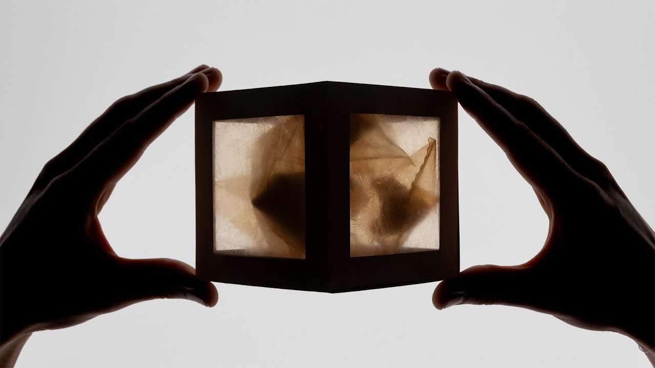 Homemade Bioplastic: one year later