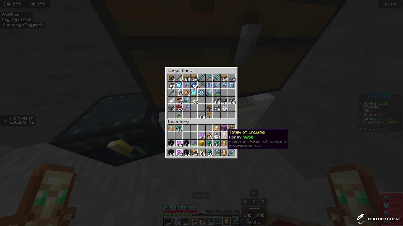 DonutSMP LIVE | Getting started on donutsmp