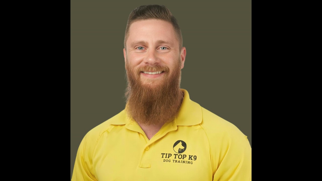 Tip Top K9 Dog Training Franchising Opportunity