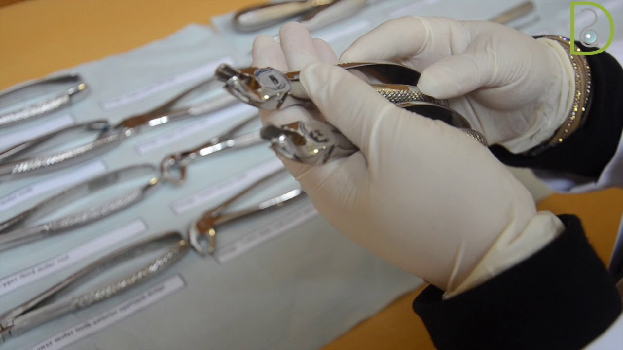 Dentiscope | Exodontia Instruments (Forceps ) - Part 1