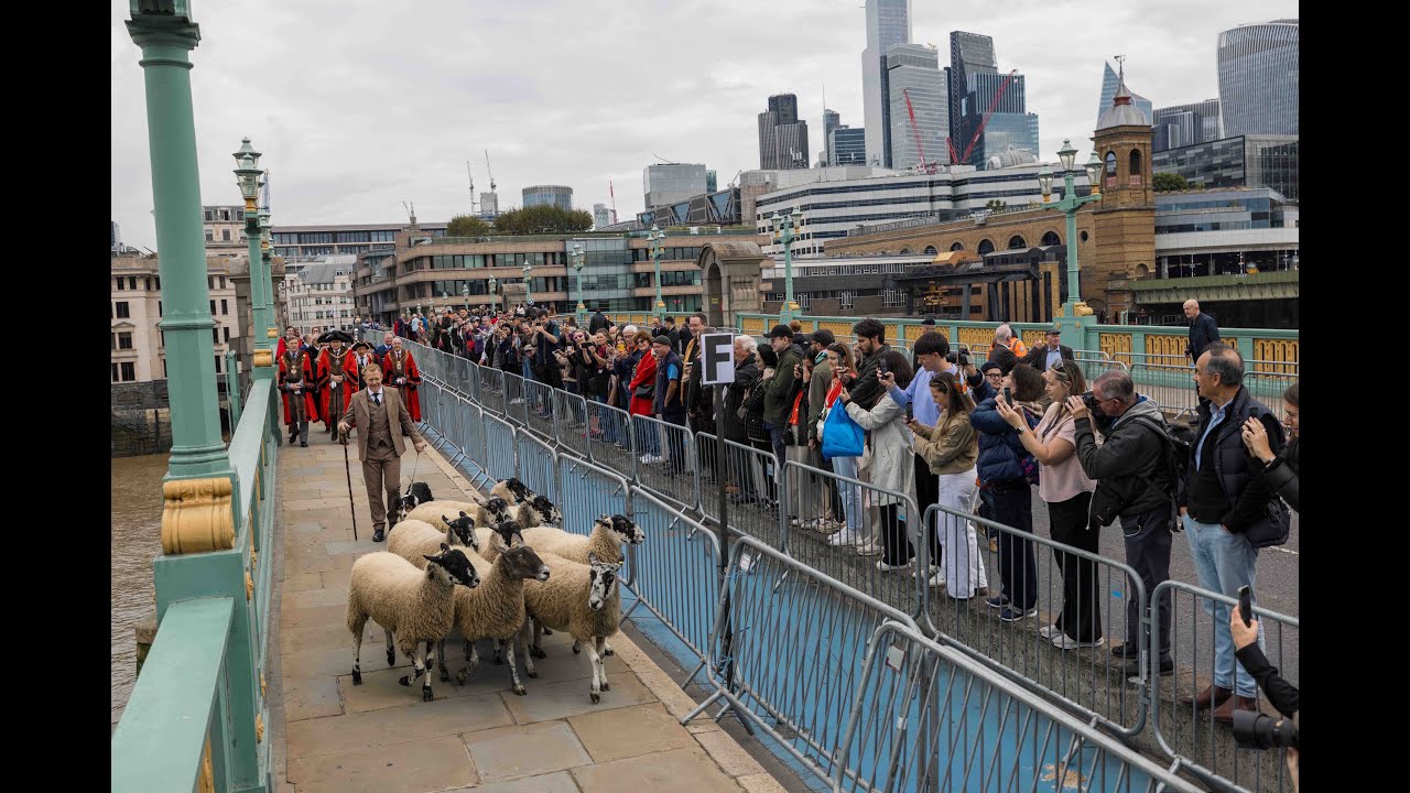 The 2025 Woolmen's Sheep Drive and Livery Fair with Adam Henson