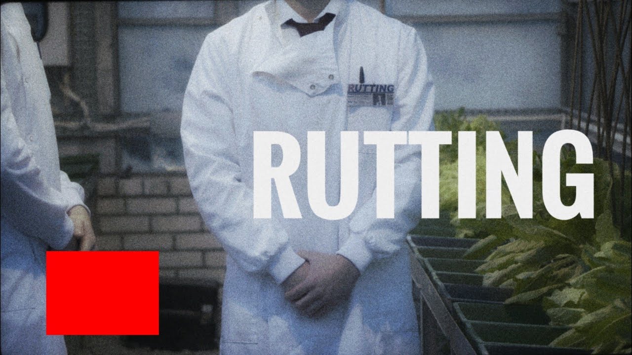 RUTTING - A Short Film Fundraising Video