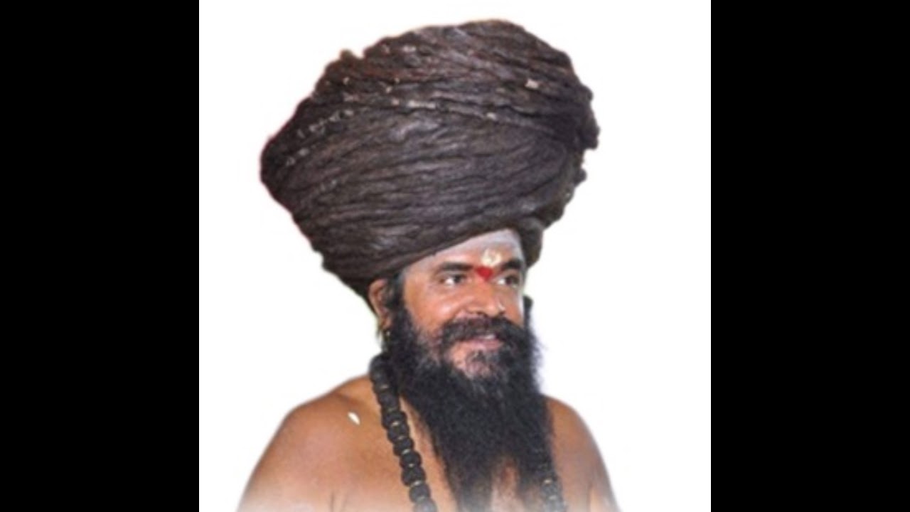 திருநள்ளாறு சனிப்பெயர்ச்சி விழா, கலைநிகழ்ச்சிகள்