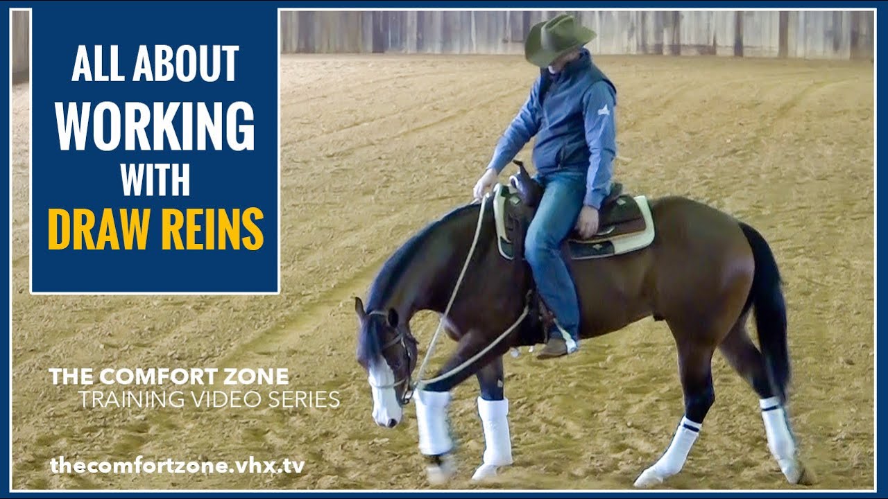 How I Work With DRAW REINS!!