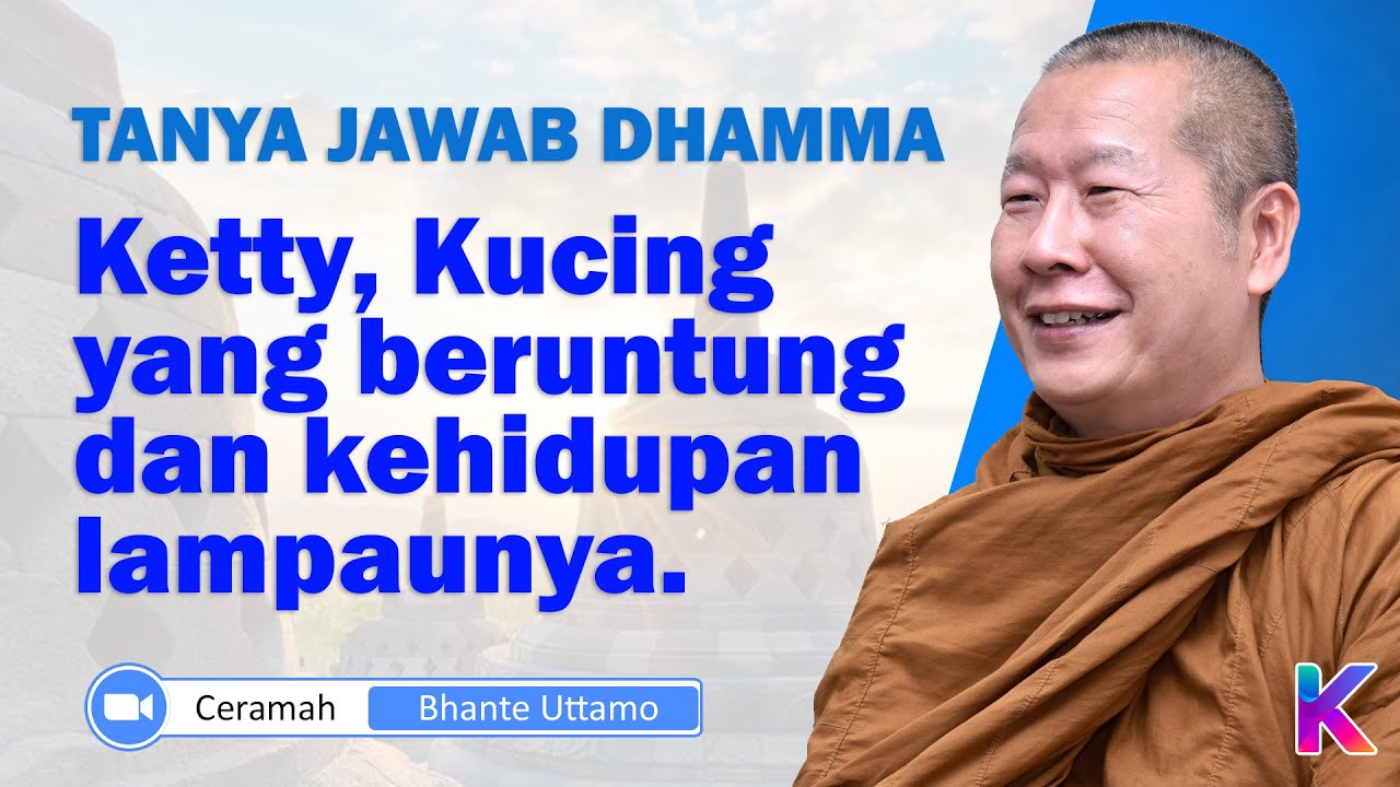 BHANTE UTTAMO || Tanya Jawab Dhamma; Ketty, Kucing yang beruntung || Karaniya Channel
