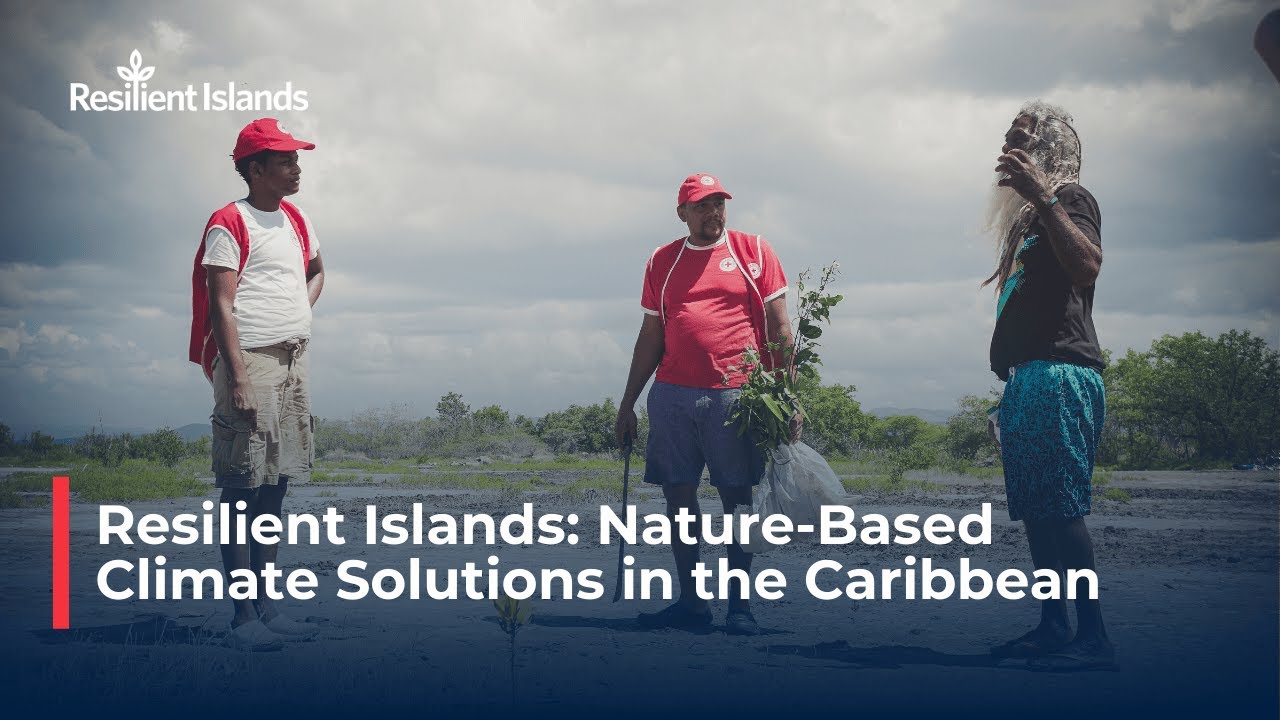 Resilient Islands: Nature-Based Climate Solutions in the Caribbean