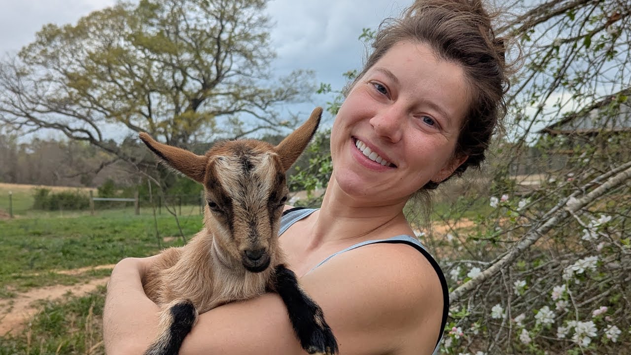 Rescuing Bottle Baby Goats! | March 2025 Vlog | Ohcluck