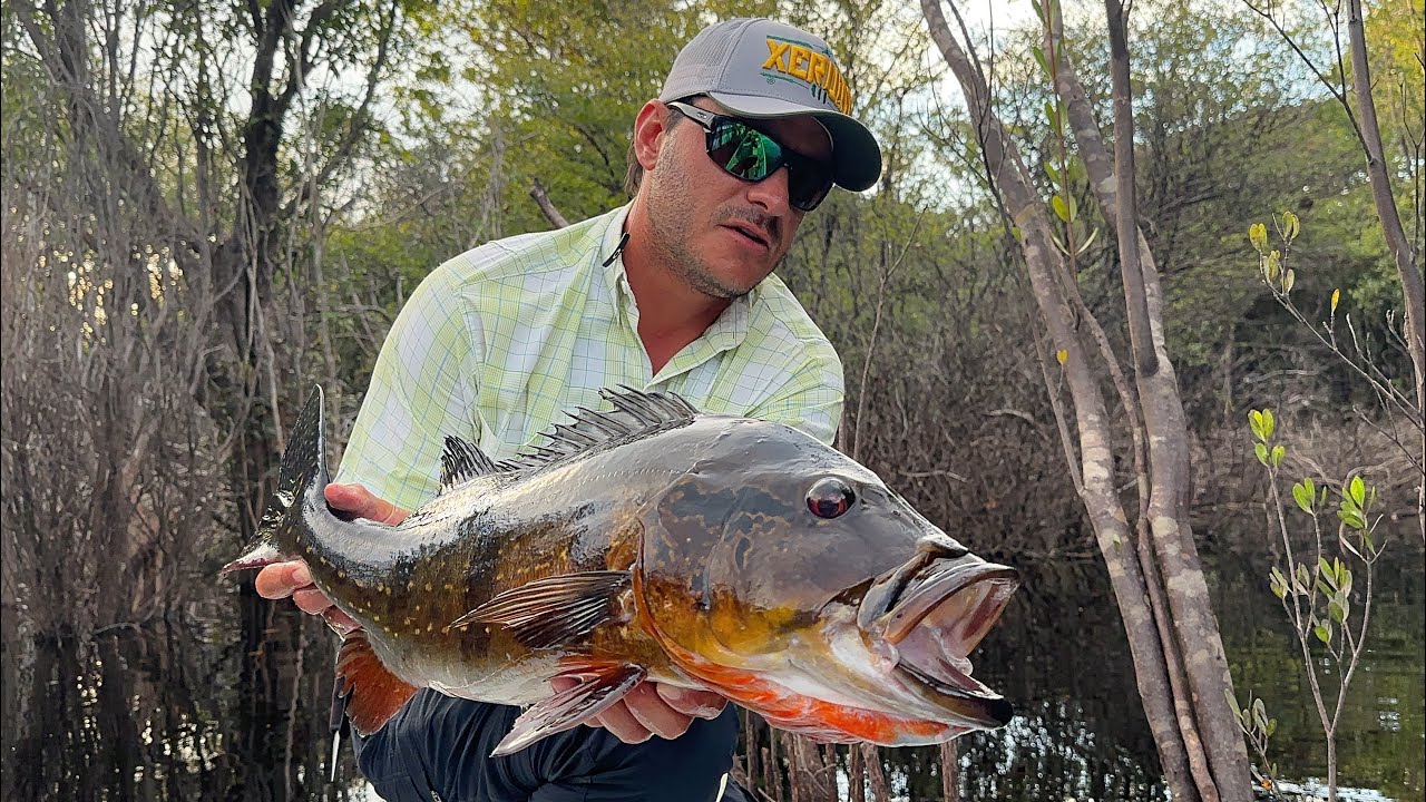 CARDUME IMPRESSIONANTE NA AMAZÔNIA... e uma voadora no boto! (Expedição Xeruini 5)