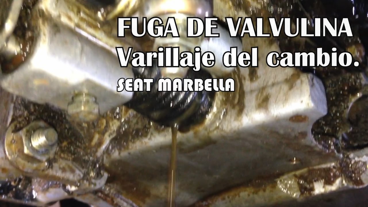 Fuga Valvulina - Seat Marbella
