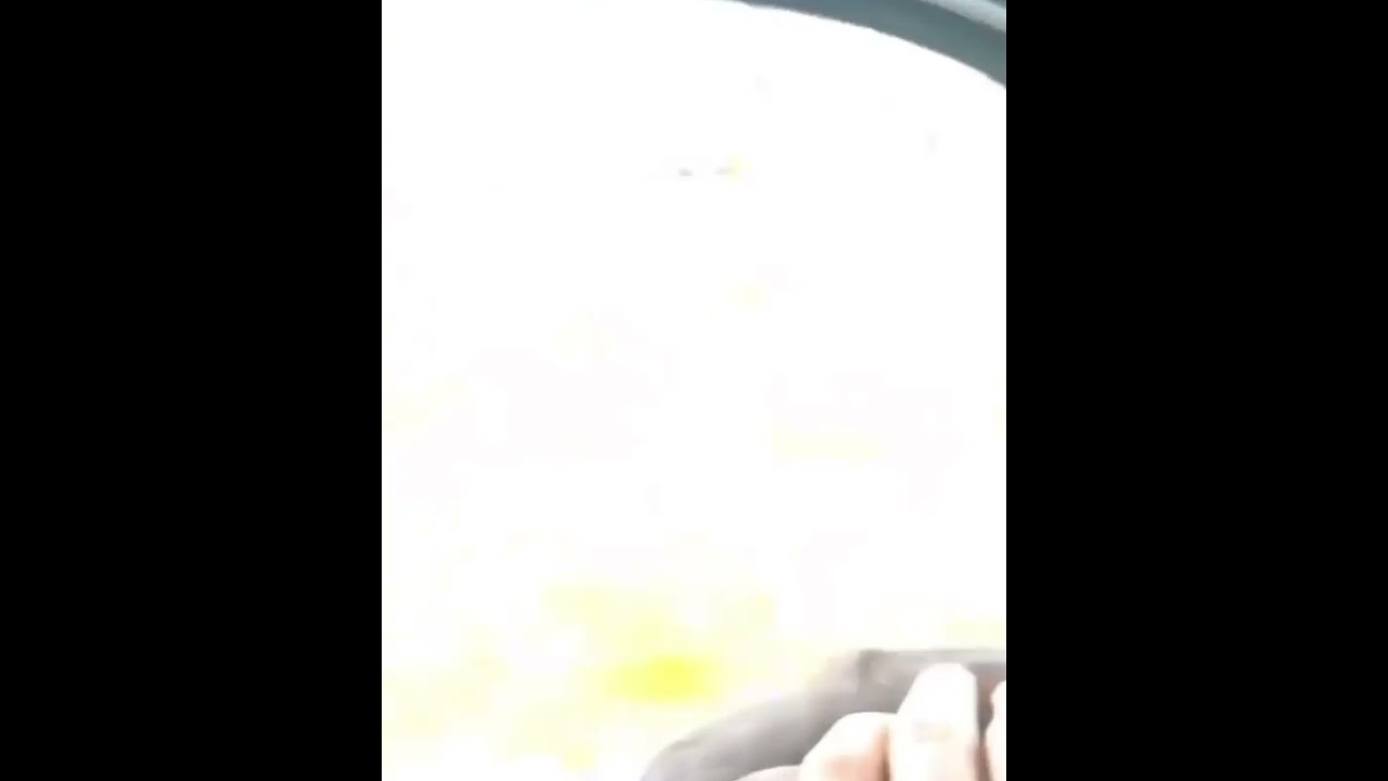 şahin ile avlanmak