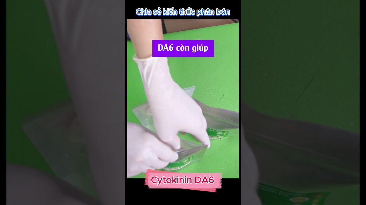 Cytokinin DA6 - Tăng cường trao đổi chất, giải độc thuốc cỏ tr&ecirc;n c&acirc;y trồng #chelate #cytokinin
