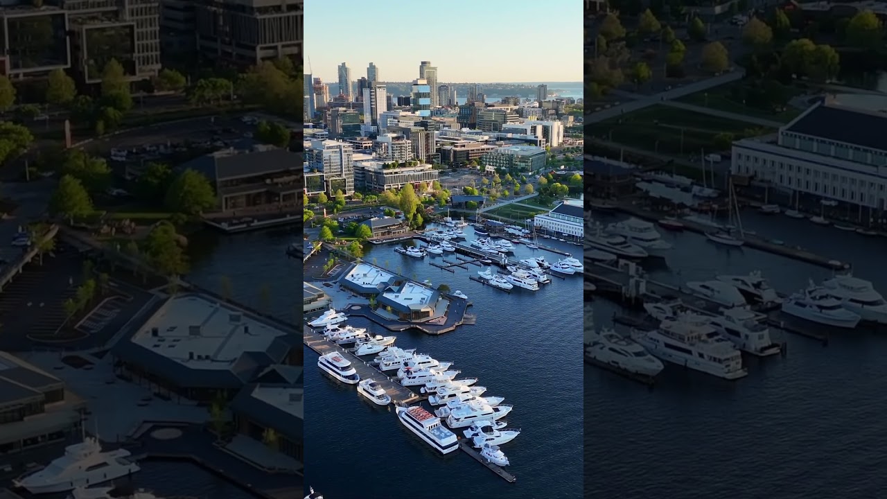 Explore Urban Nature at Lake Union, Seattle