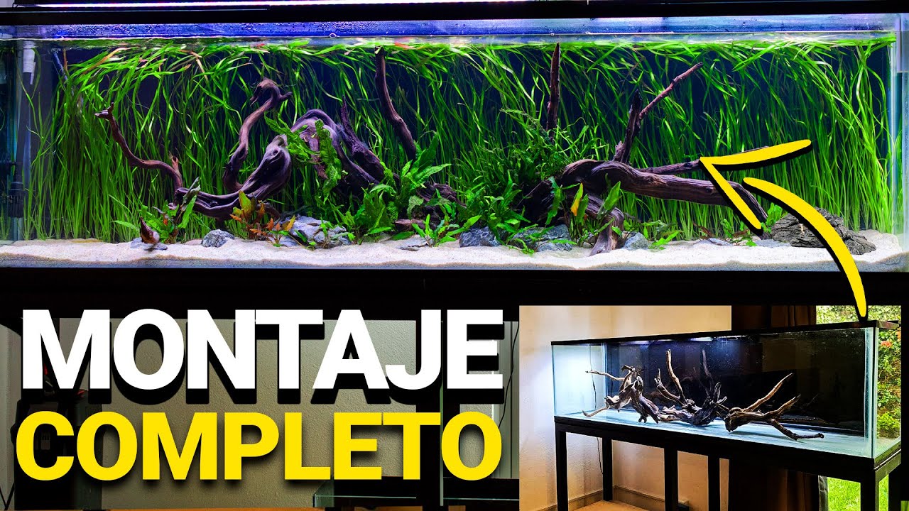 MONTAJE COMPLETO del ACUARIO DE 450 LITROS