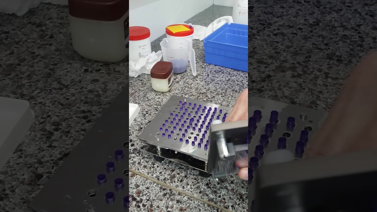 How to make capsules with a Profill 100 Torpac Brand
